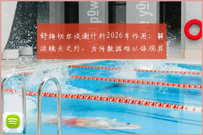 舒梅切尔谈谢什科2026年作用：解读镜头之外，为何数据难以体现其真正球场价值？